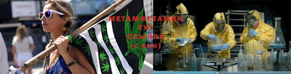 сатива Белокуриха