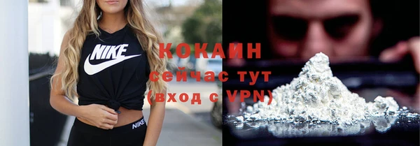 сатива Белокуриха