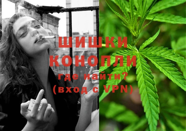 сатива Белокуриха