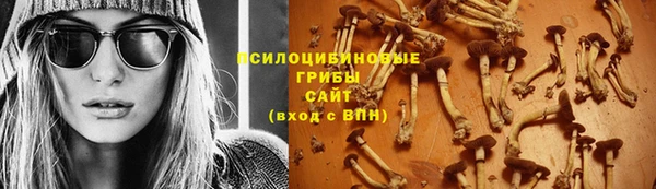 сатива Белокуриха