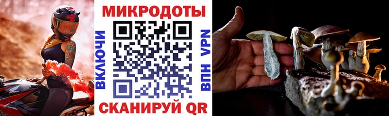Галлюциногенные грибы Psilocybine cubensis  Купино 